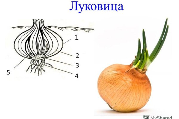 Почему сегодня не работает площадка кракен