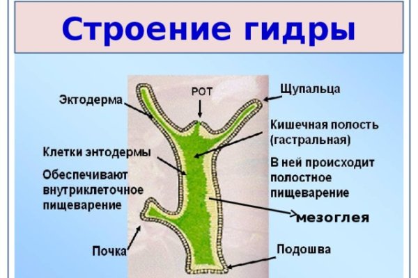 Кракен сайт 16