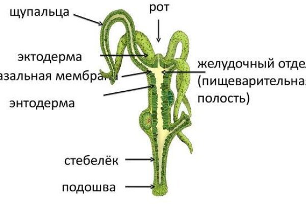 Как войти на кракен